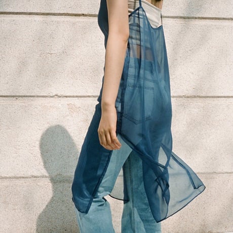 Sheer onepiece