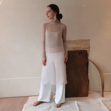 Sheer onepiece