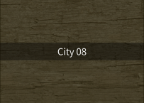 City 08