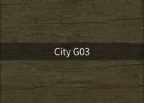 City G03