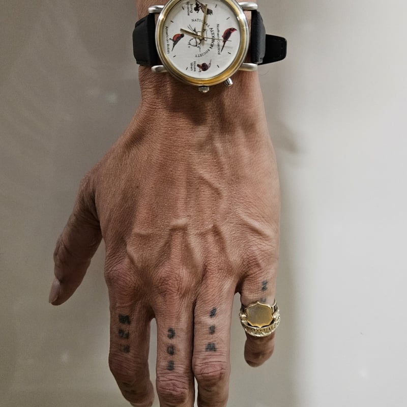 小鳥のさえずり腕に | Geekwatch