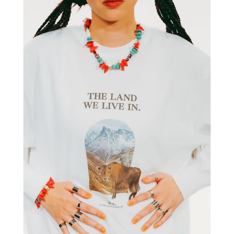 THE LAND WE LIVE IN LONG SLEEVE TEE