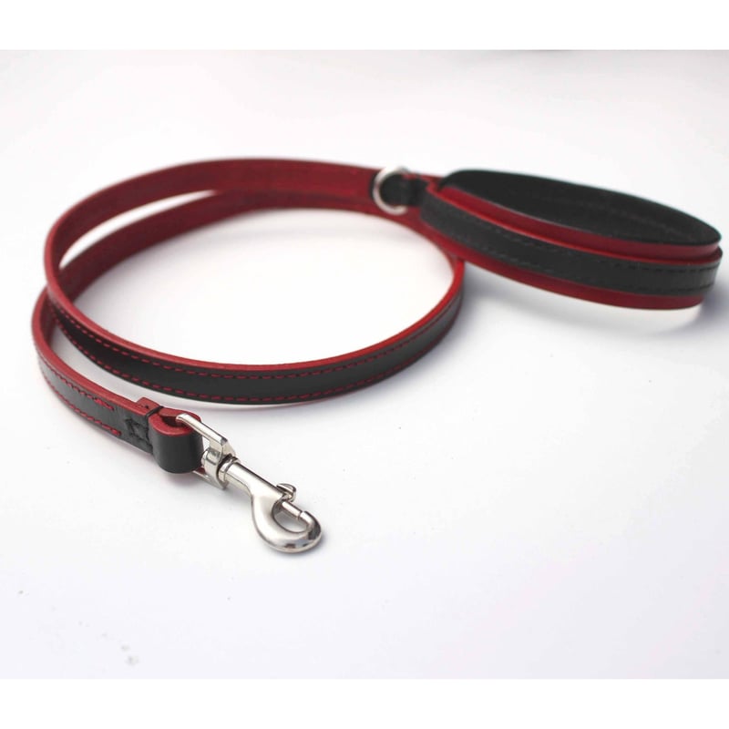 R&B Dog lead （赤と黒のリード） | Poisonivy's STORE