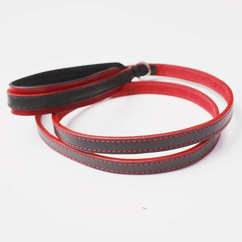 R&B Dog lead （赤と黒のリード） | Poisonivy's STORE