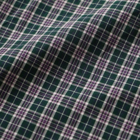 Ralph Lauren / Tartan Plaid B.D L/S Shirt "Custom Fit"