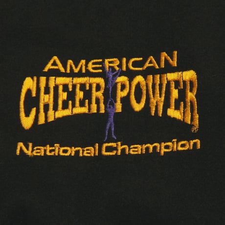 American Cheer Power / Wool Leather Varsity Jacket