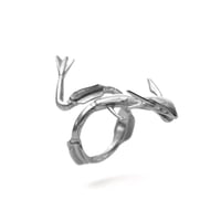 Ascension Industry / Rayquaza Ring