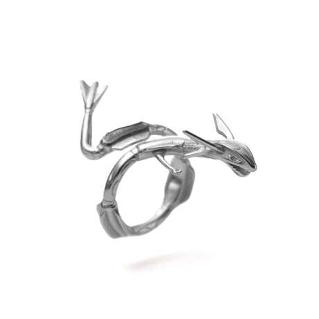 Ascension Industry / Rayquaza Ring