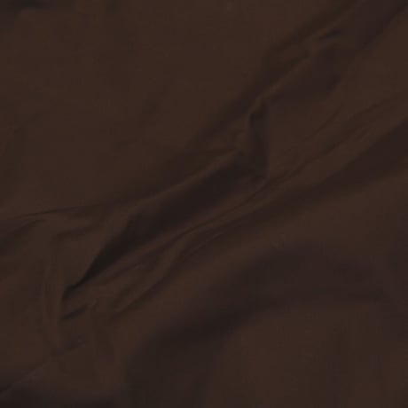 L.L.Bean / Vintage, Flying Tiger Jacket (Thinsulate)
