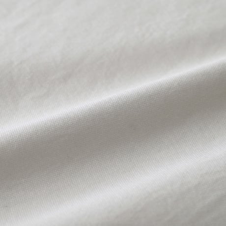 Ralph Lauren / Vintage, The Brushed Chino B.D L/S Shirt