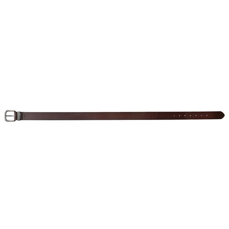 Levi's / Leather Belt