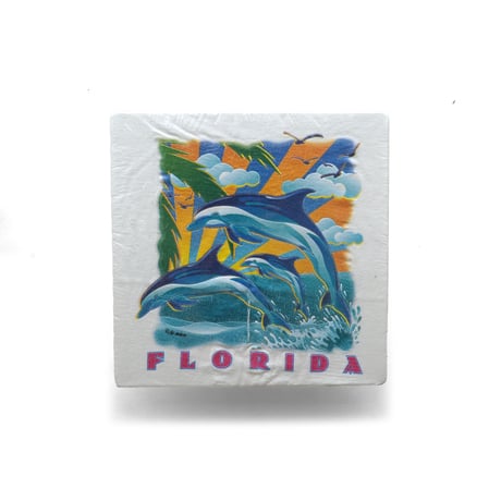 Florida, FL / Vintage, Souvenir S/S Tee "Dolphin"
