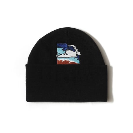 Teereco / Windfoil Logo Beanie