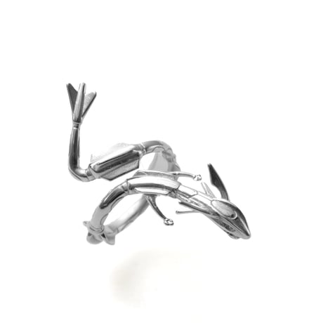 Ascension Industry / Rayquaza Ring
