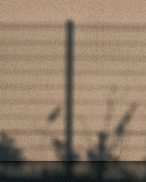 656970e31c72b4003176cad8