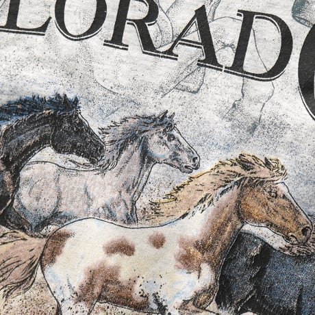 Colorado, CO / Vintage, Souvenir S/S Tee "Horse"