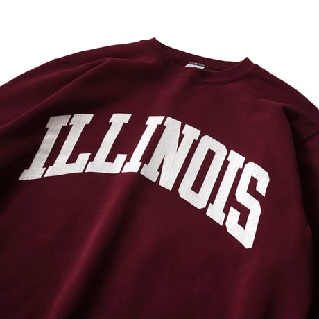 Champion / Vintage, Crewneck Sweatshirt "Illinois"