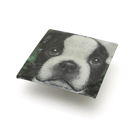 The Mountain Corporation / Ugly S/S Tee "French Bulldog"