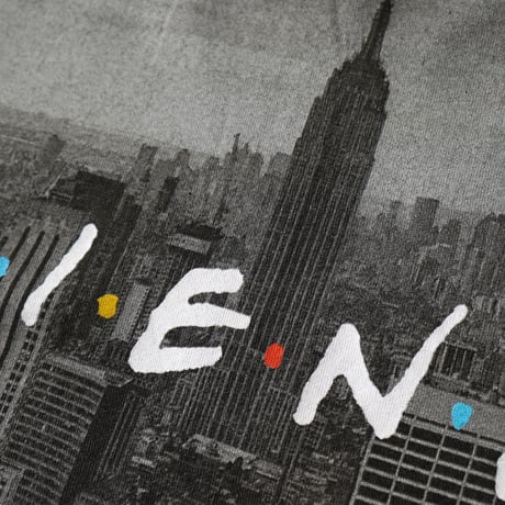 Friends / New York Photo S/S Tee