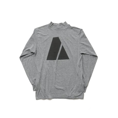 U.S. Army / APFU Training L/S Tee