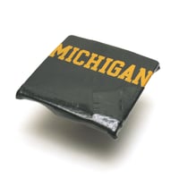 Champion / Vintage, Reverse Weave Hooded Sweatshirt "Michigan -MSU-"