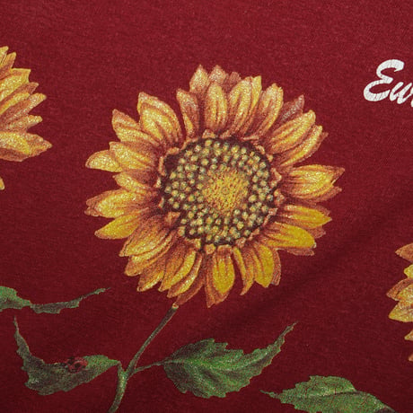 Eureka Springs, Arkansas / Vintage, Sunflower S/S Tee