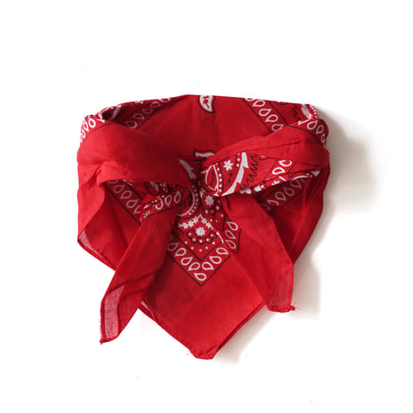 Bandana Mask