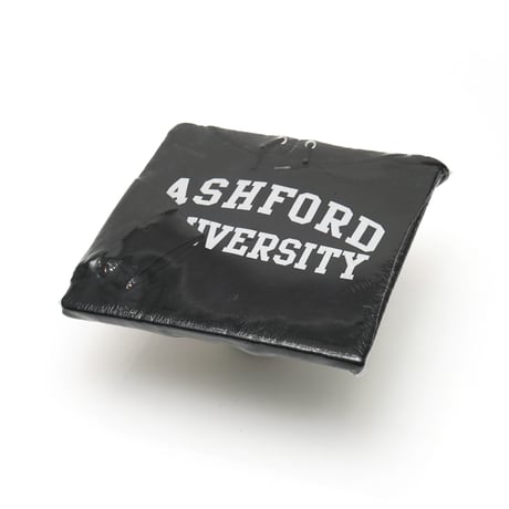 Ashford University / Pullover Hooded Sweatshirt