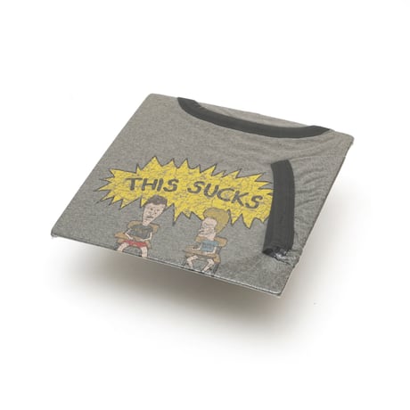 Beavis and Butt-Head / Vintage, Ringer S/S Tee