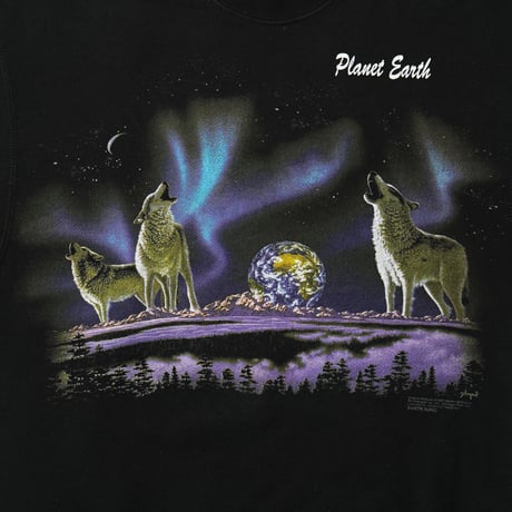 Schim Schimmel / Vintage, Earth Song Crewneck Sweatshirt