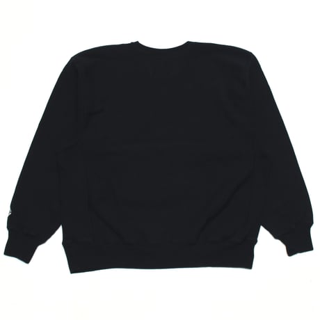 Champion / 00's Vintage, Reverse Weave Crewneck Sweatshirt "Michigan -UM-"