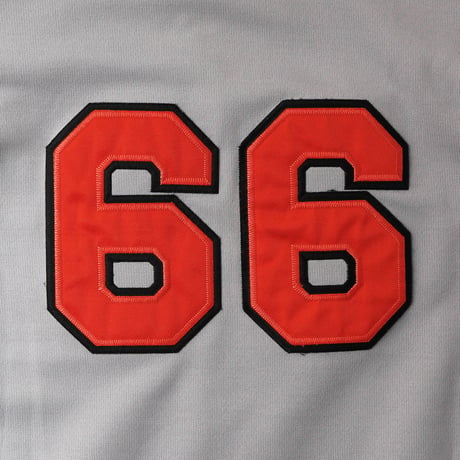 Irvine Tigers / Baseball Jersey #66