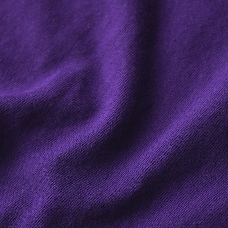 FedEx / Absolutely Positively S/S Tee