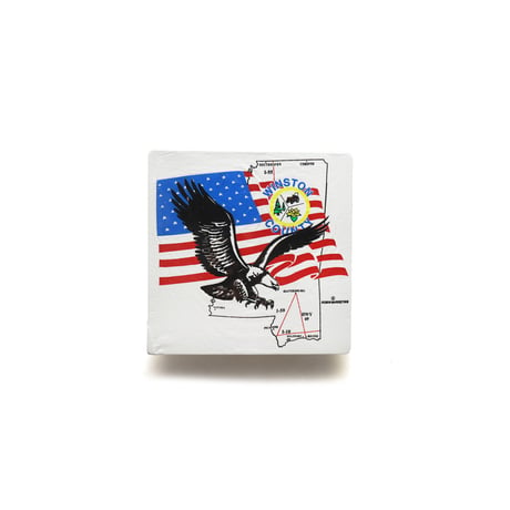 Winston County, AL / Vintage, Bald Eagle, Stars and Stripes Flag S/S Tee