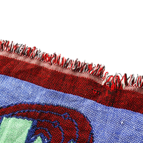 Space Jam / Vintage, Woven Tapestry Fringe Throw Blanket Rag