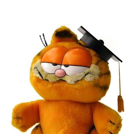 Garfield / Vintage, Plush Toy "Graduation, Diploma"