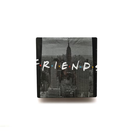 Friends / New York Photo S/S Tee