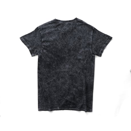 Ice Cube / Photo Bio-washed S/S Tee