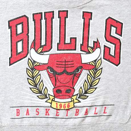 Chicago Bulls / Cropped Crewneck Sweatshirt