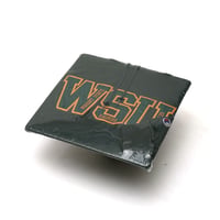 Champion / Vintage, Hooded Sweatshirt "Wright State Raiders"