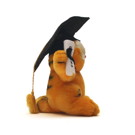 Garfield / Vintage, Graduation Plush Toy