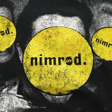 Green Day / Nimrod S/S Tee