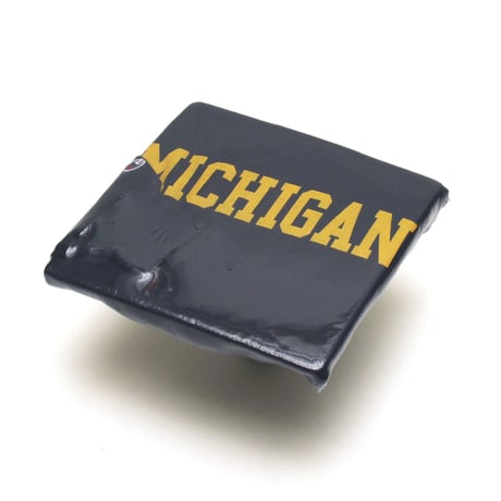 Champion / 00's Vintage, Reverse Weave Crewneck Sweatshirt "Michigan -UM-"