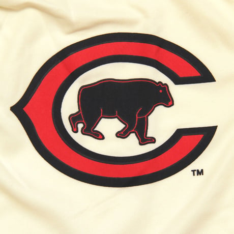 Chicago Cubs / Baseball Jersey