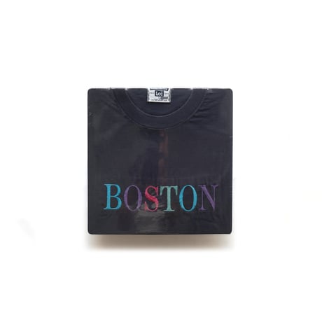 Boston, MA / Vintage, Embroidered S/S Tee