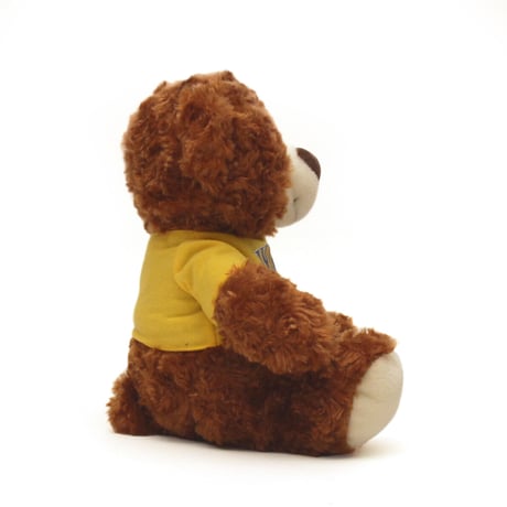West Los Angeles College / Graduation Bella Bear Plush Toy