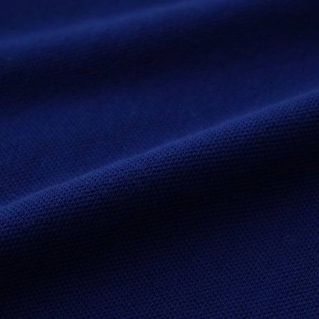 Polo Ralph Lauren / Custom Fit Polo L/S Shirt