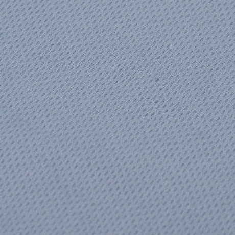 Club Deportivo Guadalajara / Soccer Jersey #1 Oswaldo Alanís Pantoja