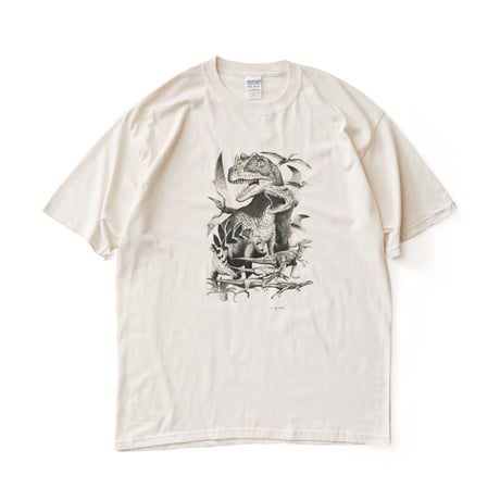 Sun Active / Vintage, Dinosaurs S/S Tee