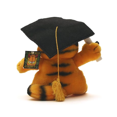 Garfield / Vintage, Graduation Plush Toy